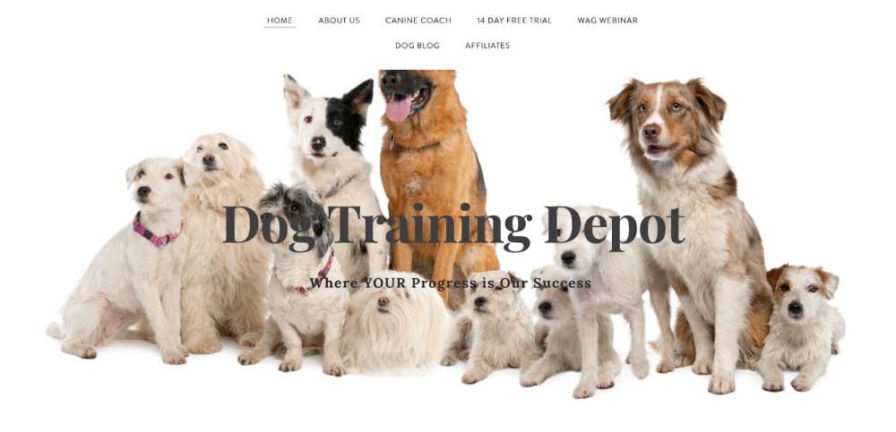 K9 diversity dog sales training